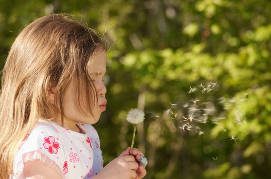 Little girl playing with a dandelion