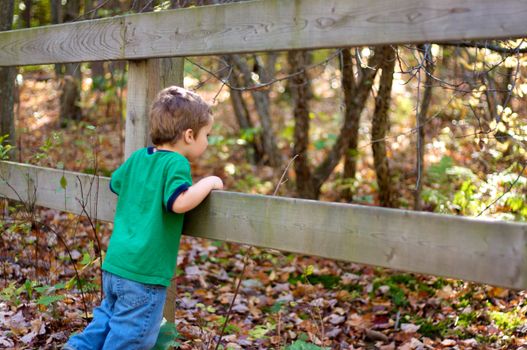 Boy standing by a fence in an autumn scenery