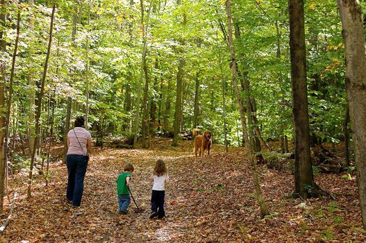 Happy family walking in a forest with their dog in autumn