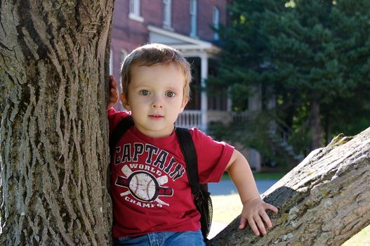 Little boy with a backpack sitting in a tree