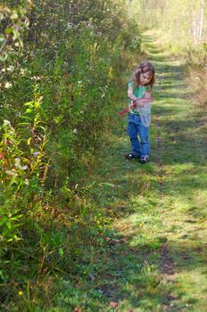 Little girl hunting butterflies with a net in a trail in the woods