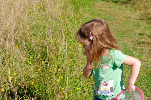 Little girl hunting butterflies with a net in a trail in the woods