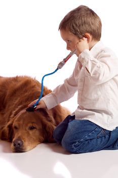 Cute little boy playing veterinary with his dog
