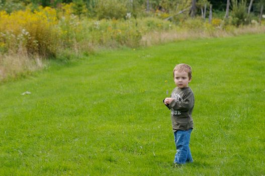 Cute little boy standing in a grass field