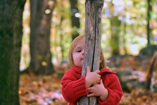 Little girl hugging a tree in the woods at autumn