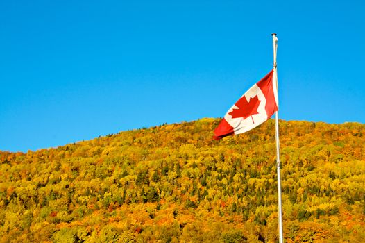 Canadian flag in a fall landscape