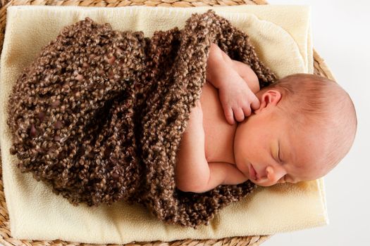 Newborn baby boy resting in a wool cocoon