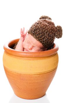 Newborn baby boy resting in a flowerpot with a knit hat