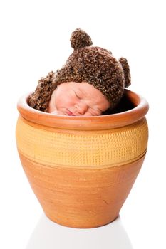Newborn baby boy resting in a flowerpot with a knit hat