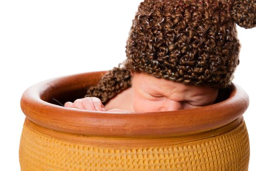 Newborn baby boy resting in a flowerpot with a knit hat