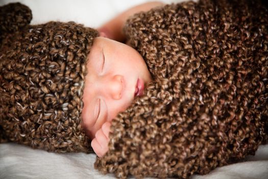 Newborn baby boy resting in a wool cocoon