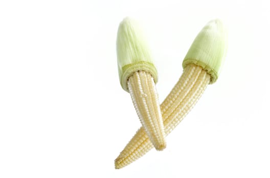 Baby corn isolated on a white background