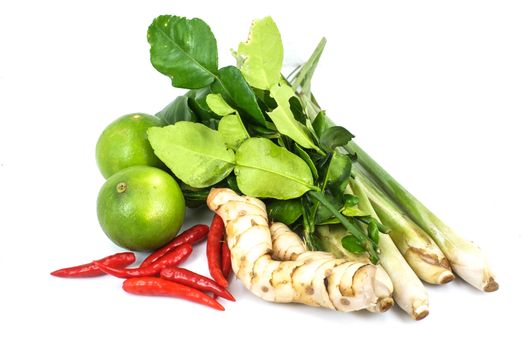 herbal Ingredients for tom-yam ,Thai food