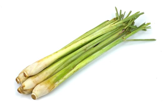 bundle of lemon grass isolated on white