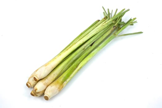 bundle of lemon grass isolated on white