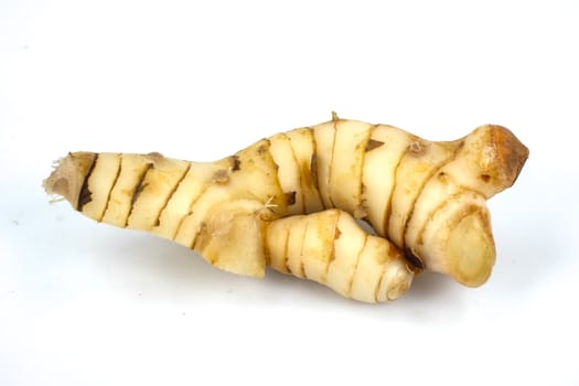 rhizome of galangal on white background