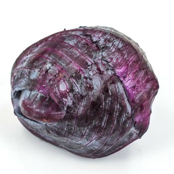 A head of purple cabbage on white background.