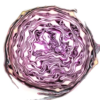 A head of purple cabbage on white background.