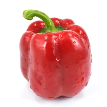 Colored paprika (pepper) isolated on a white background