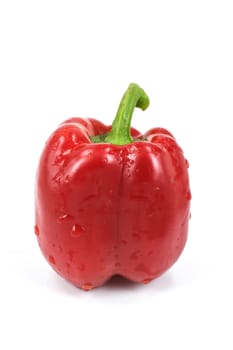 Colored paprika (pepper) isolated on a white background