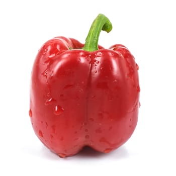 Colored paprika (pepper) isolated on a white background