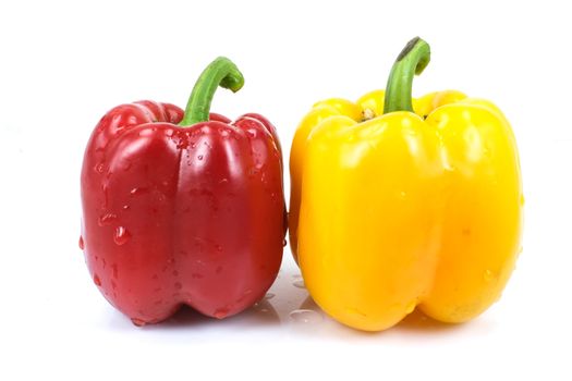 Colored paprika (pepper) isolated on a white background