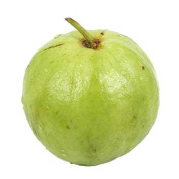 Fresh Guava fruit  on white background