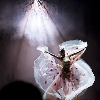 CHENGDU - SEP 23: chinese famous dancer Yang Liping performs Peacock Dance on stage at Jincheng theater.Sep 23, 2012 in Chengdu, China.