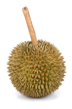 Durian King of fruit Thailand