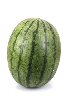 watermelon in white background