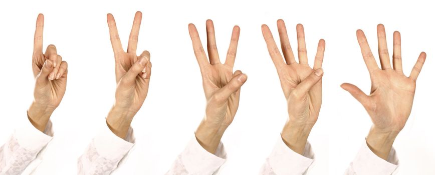 woman Fingers consider Numbers  from one up to five all together