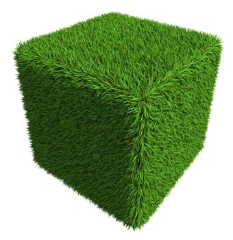 green grass cube isolated on white background. clipping path included