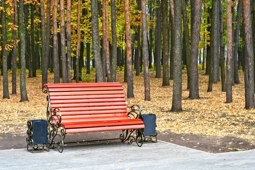 Bench in an autumnal park