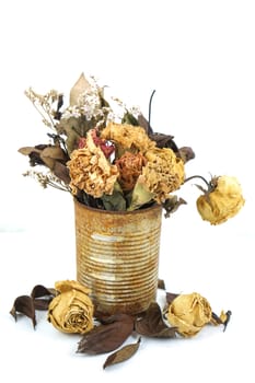 dry flowers in the rust tin can on white