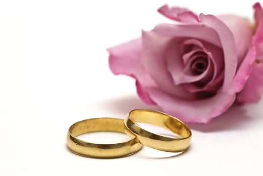 Golden wedding rings and fresh roses to say I love you.