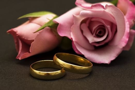 Golden wedding rings and fresh roses to say I love you.