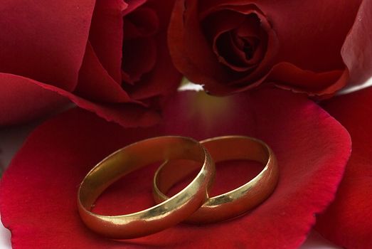 Golden wedding rings and fresh roses to say I love you.