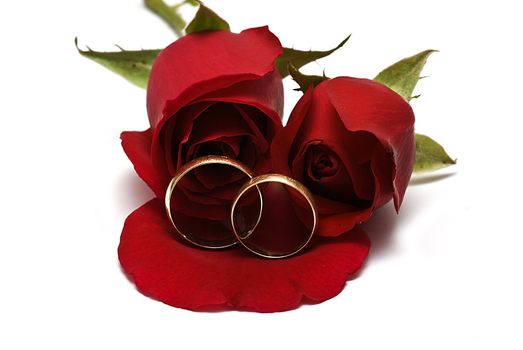 Golden wedding rings and fresh roses to say I love you.