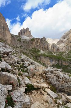 landscape of Catinaccio mountain on summer, Italian Dolomites