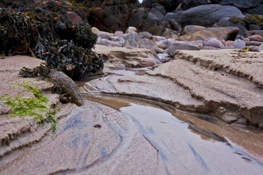 closeup of costal scene with sand, water and stones