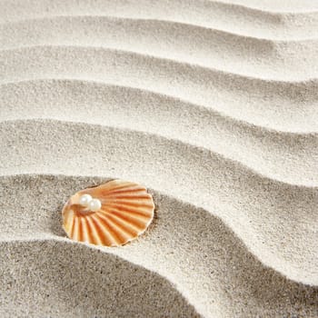 Caribbean pearl on shell in white wavy sand beach