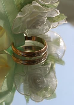 Wedding rings on a satiny tape. 
