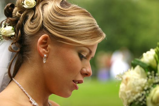 The beautiful bride on a green background