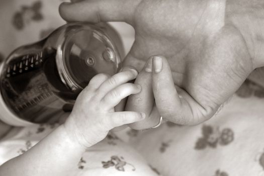 Hand of the kid and the parent. b/w + sepia