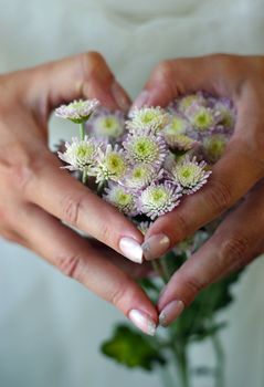 Hands combined by the heart, filled with small chrysanthemums