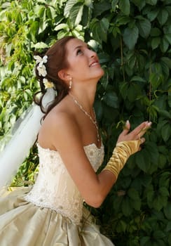 The beautiful bride on a green background