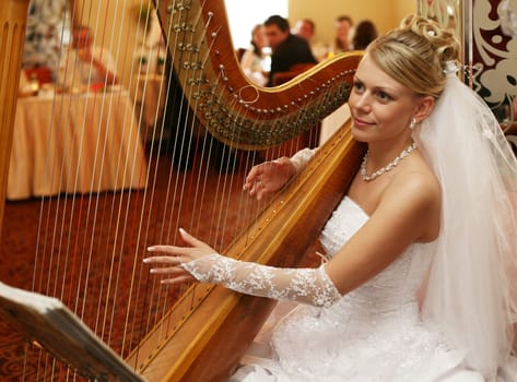 The bride plays on a string musical instrument