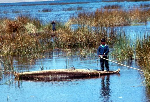 Lake Titicaca in Peru with floating islands made from totora reeds