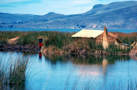 Lake Titicaca in Peru with floating islands made from totora reeds