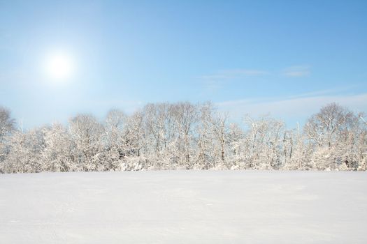 Winter landscape of a field and woods covered with a fresh fallen snow with a blue sky and the sun shining.  Room for copy space.